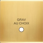 MODELEC - Façade Confidence Laiton Satine Simple Guinu Magnetique