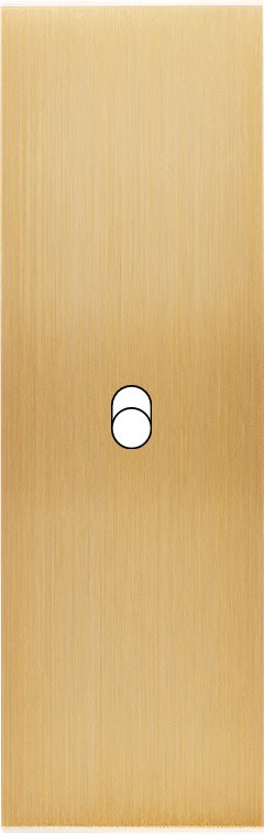 MODELEC - Façade Confidence Laiton Brosse Etroite Longue B1