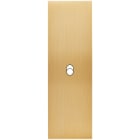 MODELEC - Façade Confidence Laiton Brosse Etroite Longue B1