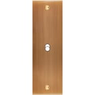 MODELEC - Façade Confidence Laiton Vieux Bronze Etroite Longue B1 à Vis