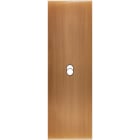 MODELEC - Façade Confidence Laiton Vieux Bronze Etroite Longue B1