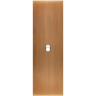 MODELEC - Façade Confidence Laiton Vieux Bronze Etroite Longue B1
