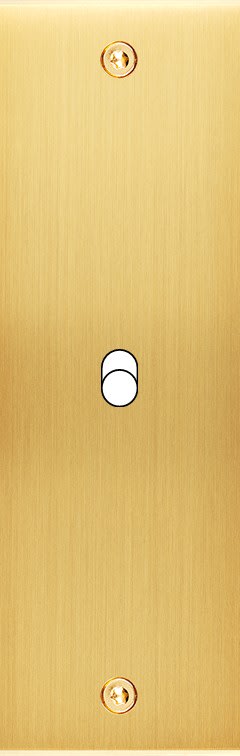 MODELEC - Façade Confidence Laiton Satine Etroite Longue B1 à Vis