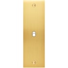 MODELEC - Façade Confidence Laiton Satine Etroite Longue B1 à Vis