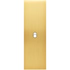 MODELEC - Façade Confidence Laiton Satine Etroite Longue B1