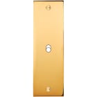 MODELEC - Façade Confidence Laiton Or Miroir Etroite Longue B1 à Vis