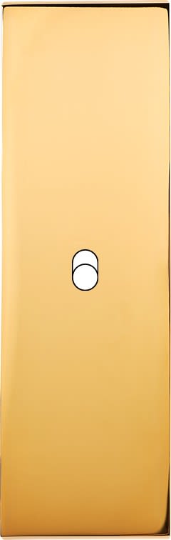 MODELEC - Façade Confidence Laiton Or Miroir Etroite Longue B1