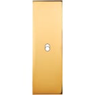 MODELEC - Façade Confidence Laiton Or Miroir Etroite Longue B1