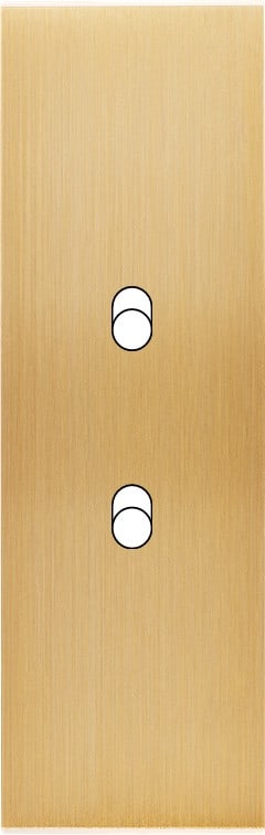 MODELEC - Façade Confidence Laiton Brosse Etroite Longue B2