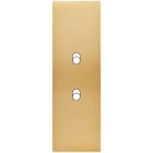 MODELEC - Façade Confidence Laiton Brosse Etroite Longue B2