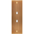 MODELEC - Façade Confidence Laiton Vieux Bronze Etroite Longue B2 à Vis