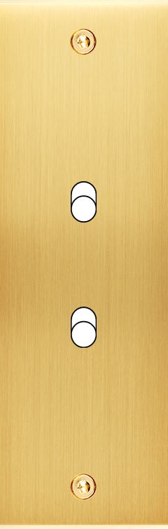 MODELEC - Façade Confidence Laiton Satine Etroite Longue B2 à Vis