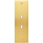 MODELEC - Façade Confidence Laiton Satine Etroite Longue B2 à Vis