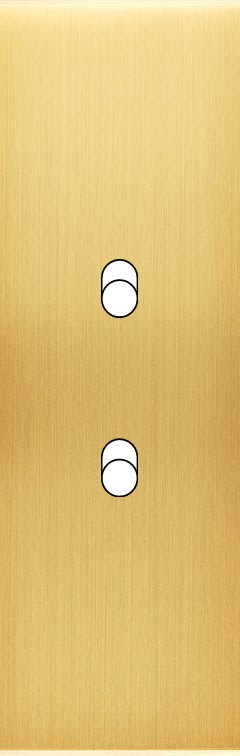 MODELEC - Façade Confidence Laiton Satine Etroite Longue B2