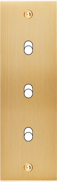 MODELEC - Façade Confidence Laiton Brosse Etroite Longue B3 à Vis