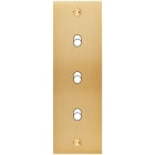 MODELEC - Façade Confidence Laiton Brosse Etroite Longue B3 à Vis