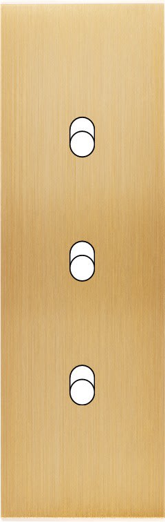 MODELEC - Façade Confidence Laiton Brosse Etroite Longue 3 Basculeurs