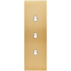 MODELEC - Façade Confidence Laiton Brosse Etroite Longue 3 Basculeurs