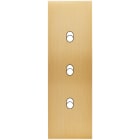 MODELEC - Façade Confidence Laiton Brosse Etroite Longue 3 Basculeurs