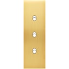 MODELEC - Façade Confidence Laiton Satine Etroite Longue 3 Basculeurs