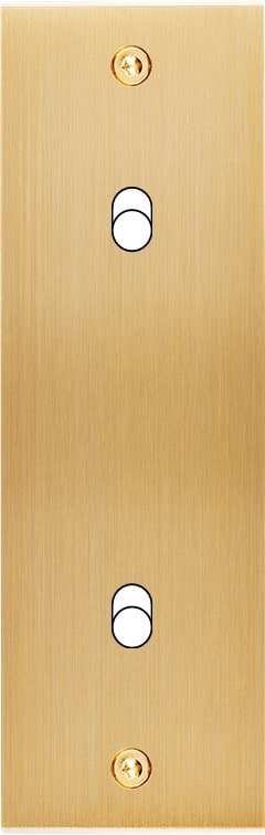 MODELEC - Façade Confidence Laiton Brosse Etroite Longue B2X à Vis