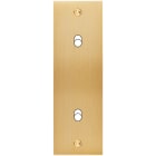 MODELEC - Façade Confidence Laiton Brosse Etroite Longue B2X à Vis