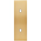 MODELEC - Façade Confidence Laiton Brosse Etroite Longue B2 Eloignes