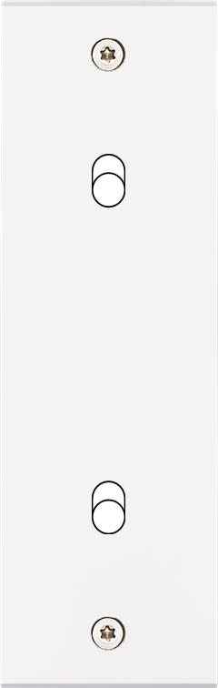 MODELEC - Façade Confidence Laiton Blanc Mat Etroite Longue B2X à Vis