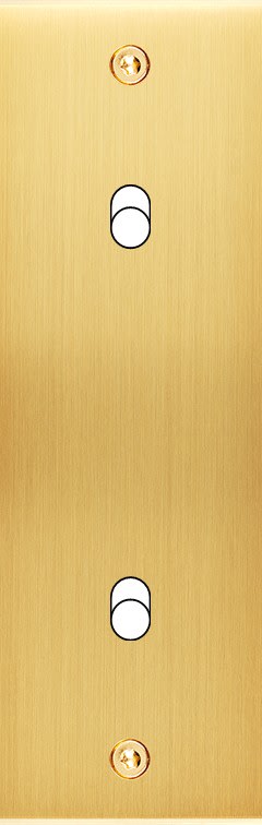 MODELEC - Façade Confidence Laiton Satine Etroite Longue B2X à Vis