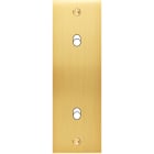 MODELEC - Façade Confidence Laiton Satine Etroite Longue B2X à Vis