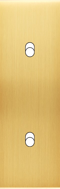 MODELEC - Façade Confidence Laiton Satine Etroite Longue B2 Eloignes