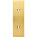 MODELEC - Façade Confidence Laiton Satine Etroite Longue B2 Eloignes