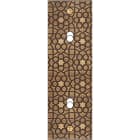 MODELEC - Façade Fascination Laiton Atlas Etroite Longue B2X à Vis