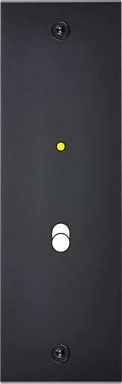 MODELEC - Façade Confidence Laiton Noir Mat Etroite Longue B1+Led à Vis