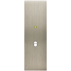 MODELEC - Façade Confidence Laiton Acier Brosse Etroite Longue B1+Led Magnetique