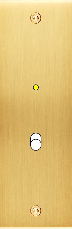 MODELEC - Façade Confidence Laiton Satine Etroite Longue B1+Led à Vis