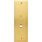 MODELEC - Façade Confidence Laiton Satine Etroite Longue B1+Led à Vis