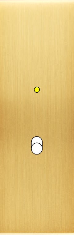 MODELEC - Façade Confidence Laiton Satine Etroite Longue B1+Led Magnetique