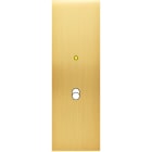 MODELEC - Façade Confidence Laiton Satine Etroite Longue B1+Led Magnetique