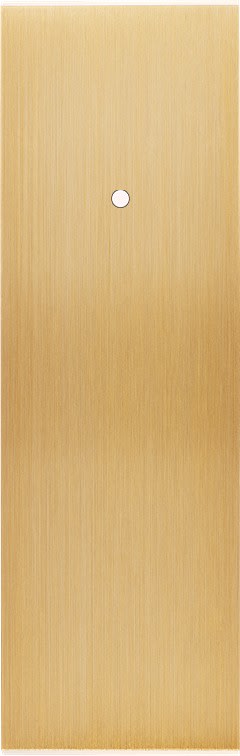 MODELEC - Façade Confidence Laiton Brosse Etroite Longue B1+Led Eloigne Magnetique