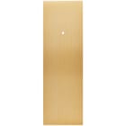 MODELEC - Façade Confidence Laiton Brosse Etroite Longue B1+Led Eloigne Magnetique