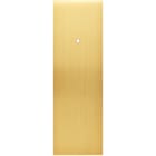 MODELEC - Façade Confidence Laiton Satine Etroite Longue B1+Led Eloigne Magnetique