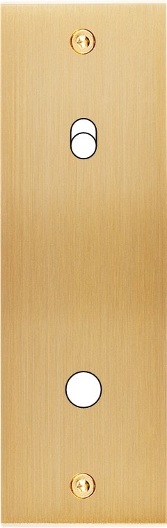 MODELEC - Façade Confidence Laiton Brosse Etroite Longue P1 B1 Eloigne à Vis