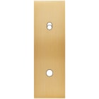 MODELEC - Façade Confidence Laiton Bros Simple Etroite Longue 1 Push 1 Basculeur Eloi