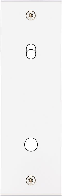 MODELEC - Façade Confidence Laiton Blanc Mat Etroite Longue P1 B1 Eloigne à Vis