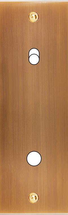 MODELEC - Façade Confidence Laiton Vieux Bronze Etroite Longue P1 B1 Eloigne à Vis