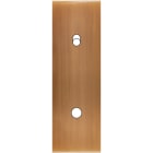MODELEC - Façade Confidence Laiton Bronze Etroite Longue 1 Push1 Basculeur Eloi