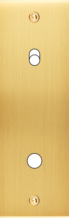 MODELEC - Façade Confidence Laiton Satine Etroite Longue P1 B1 Eloigne à Vis