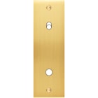 MODELEC - Façade Confidence Laiton Satine Etroite Longue P1 B1 Eloigne à Vis