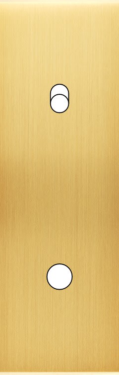 MODELEC - Façade Confidence Laiton Satine Etroite Longue 1 Push1 Basculeur Eloi